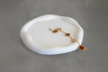 Ceramic Round Tray for Jewelry Display and Key Storage