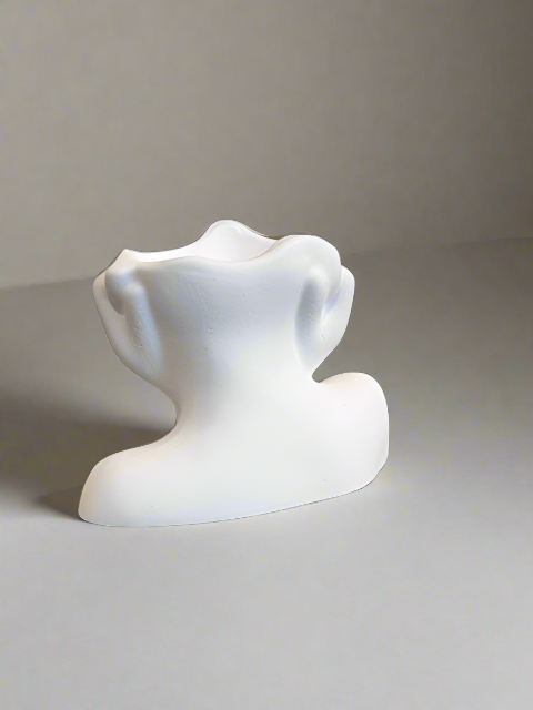 Ceramic Face Vase Artistic Head Vase for Decoration Women Face